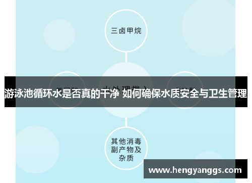 游泳池循环水是否真的干净 如何确保水质安全与卫生管理